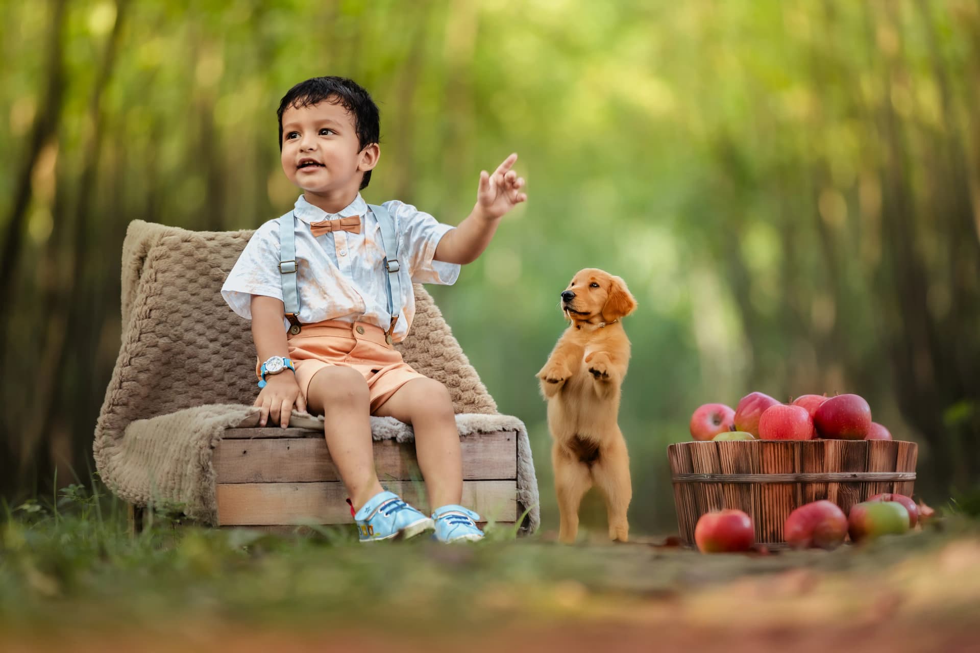 2-Year Toddler Photoshoot 4